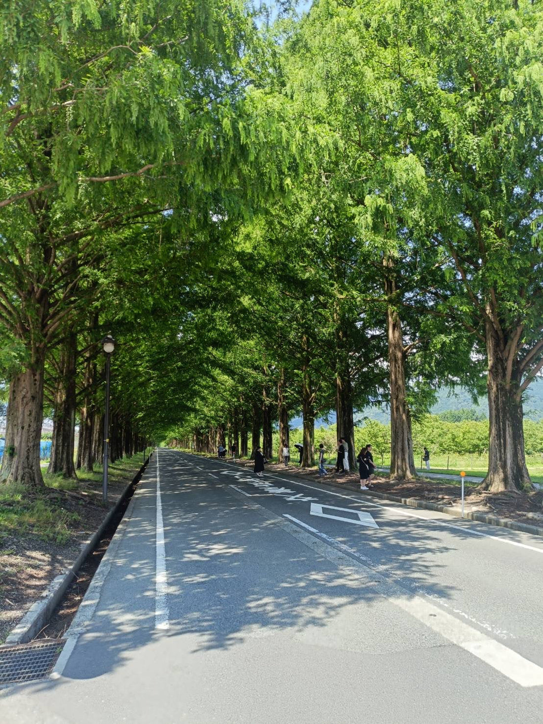 グランピング施設　サウナストーブの煙突施工（滋賀県高島市）